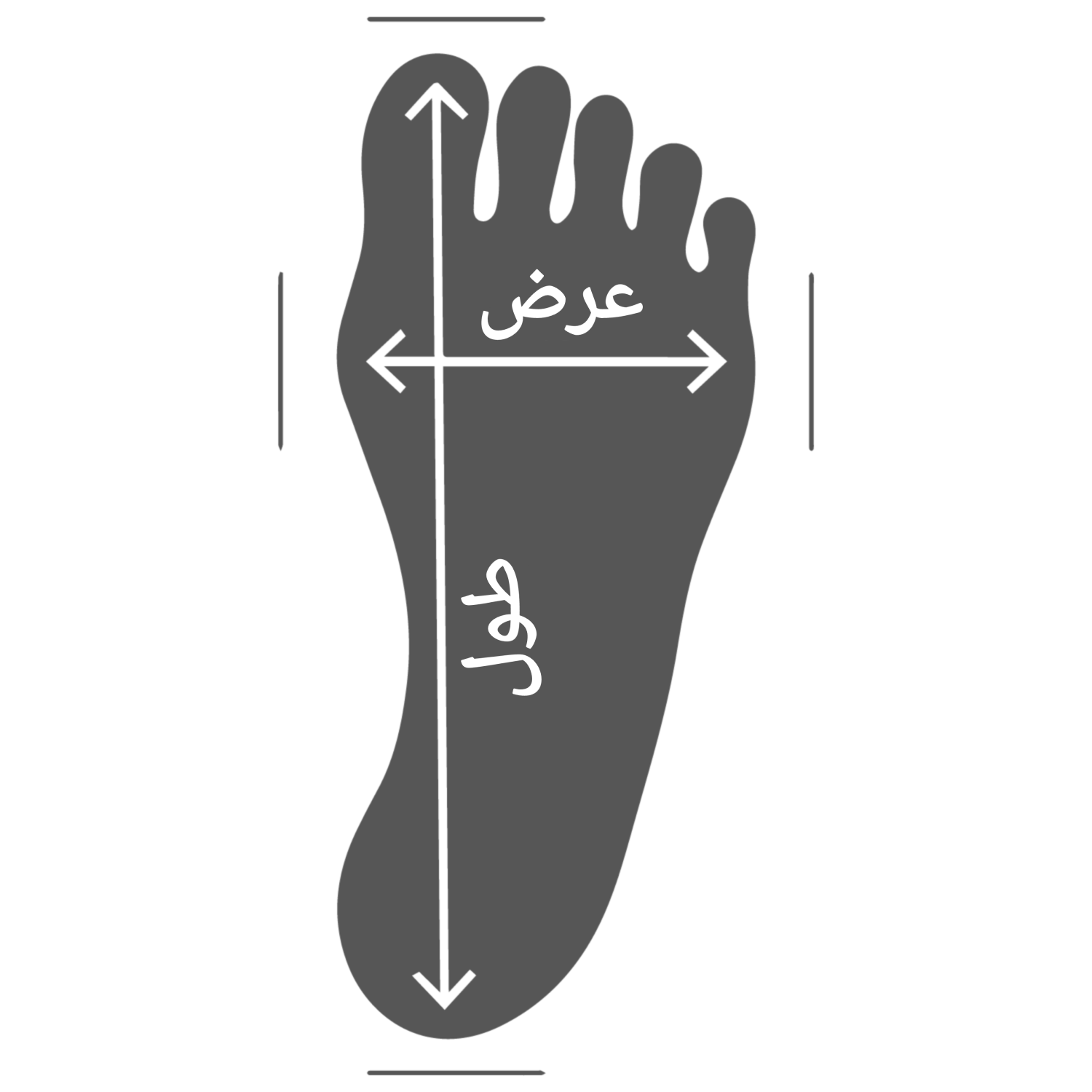 شلوار
